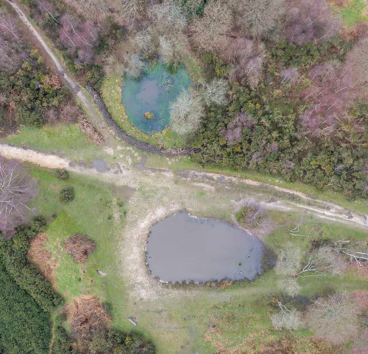 headley heath drone footage
