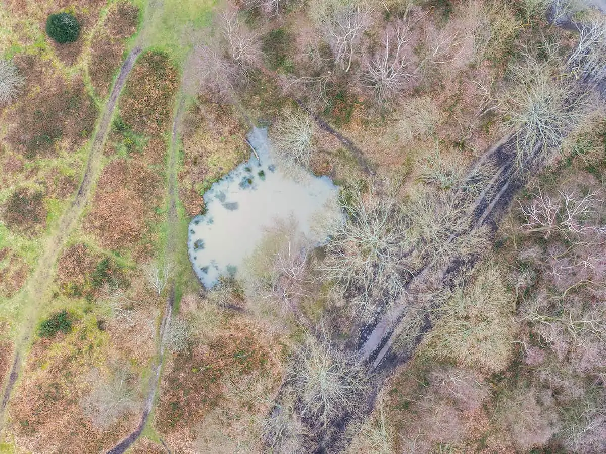 headley heath drone footage - ponds